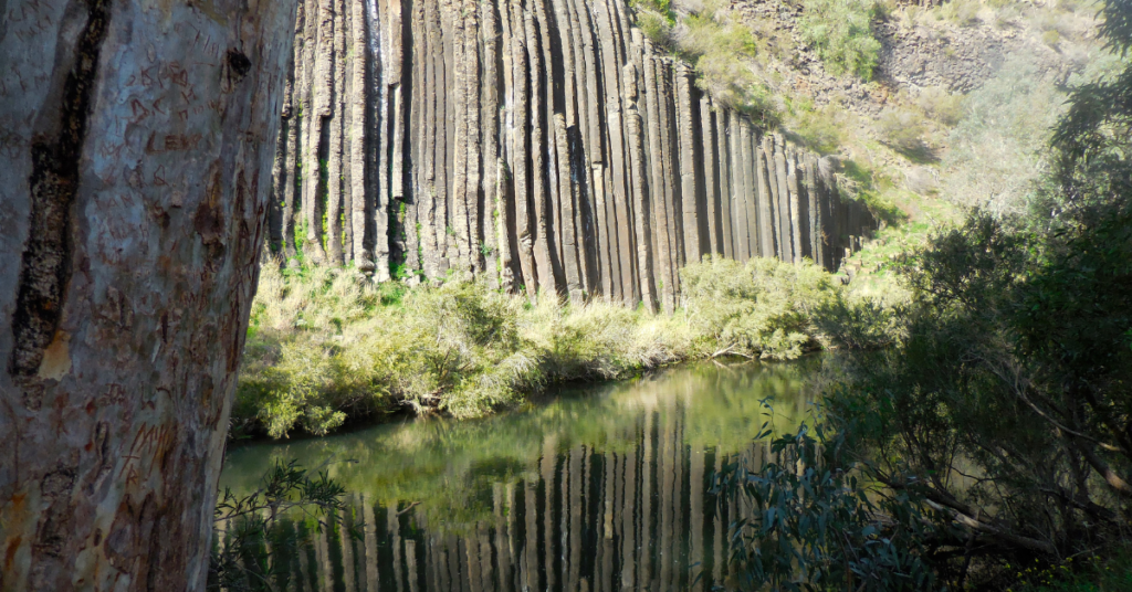 Organ Pipes National Park